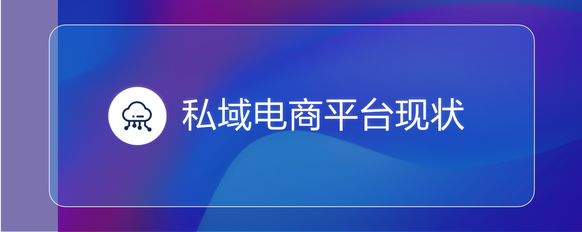 2022私域電商平臺(tái)趨勢(shì)報(bào)告(圖13)