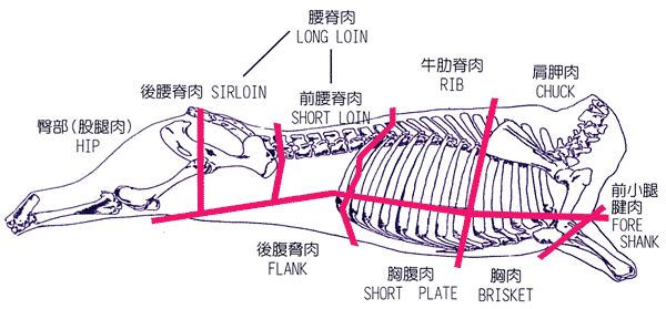 企業(yè)網(wǎng)站設(shè)計師基本功修煉記(圖1)